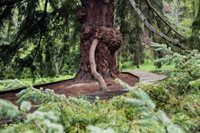 347A0393_resize_500.jpg 347A0393_resize_500.jpg