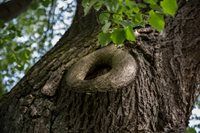 347A0714_resize_500.jpg 347A0714_resize_500.jpg