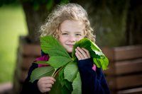 347A1745_resize_500.jpg 347A1745_resize_500.jpg