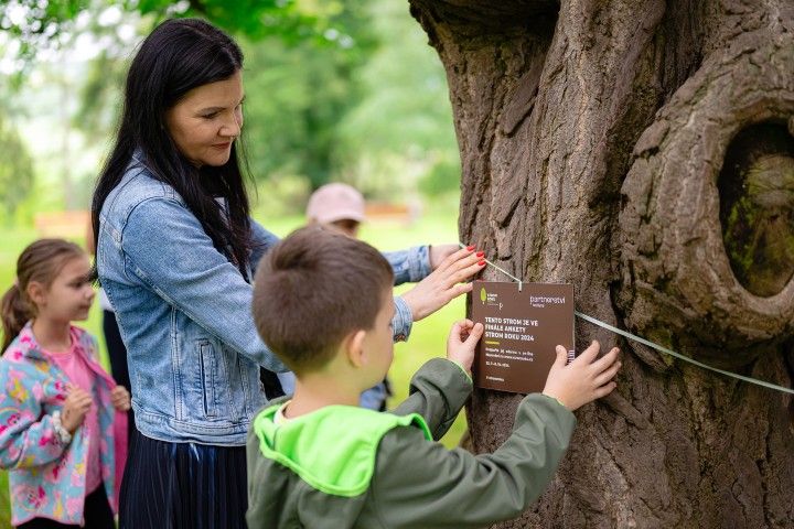 Woman and child attaching a Tree of the Year sign to a tree