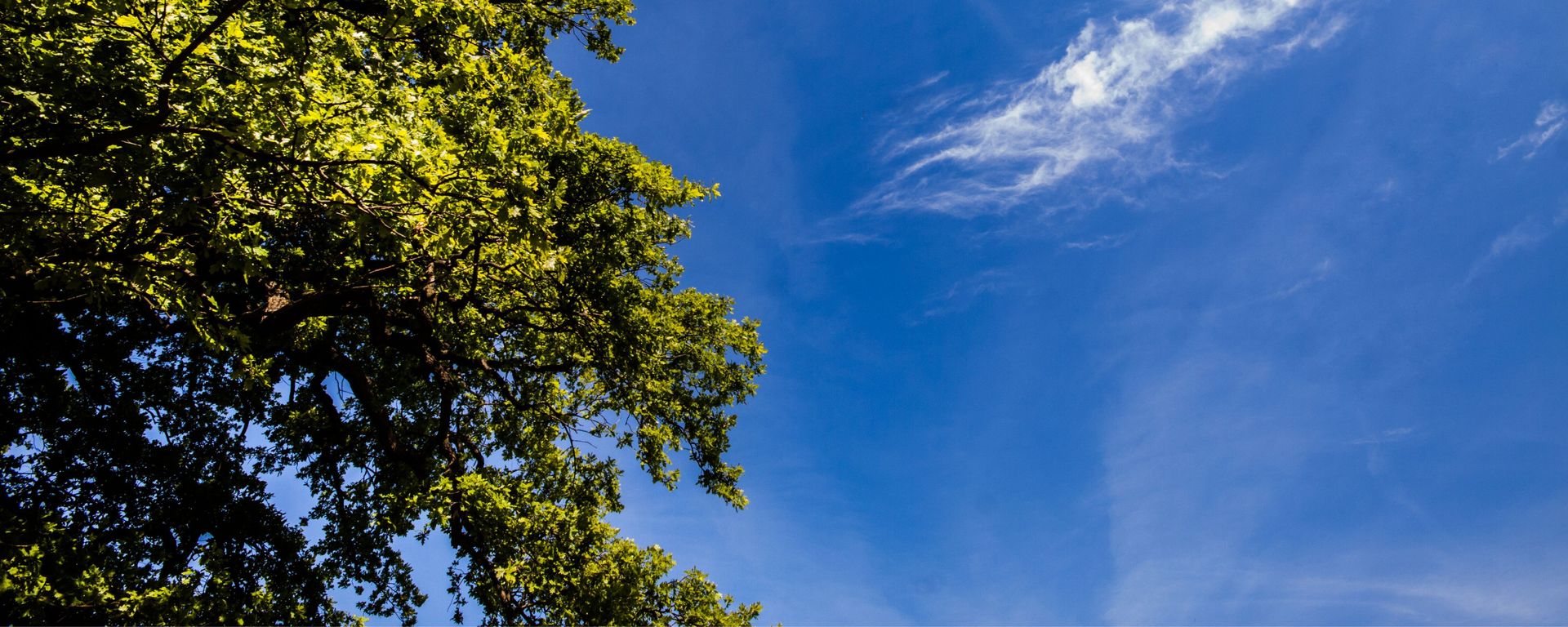 Web ETY_header photos.jpg